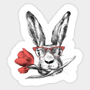 Easter Bunny Rabbit in Glasses Cool Funny Gift Sticker